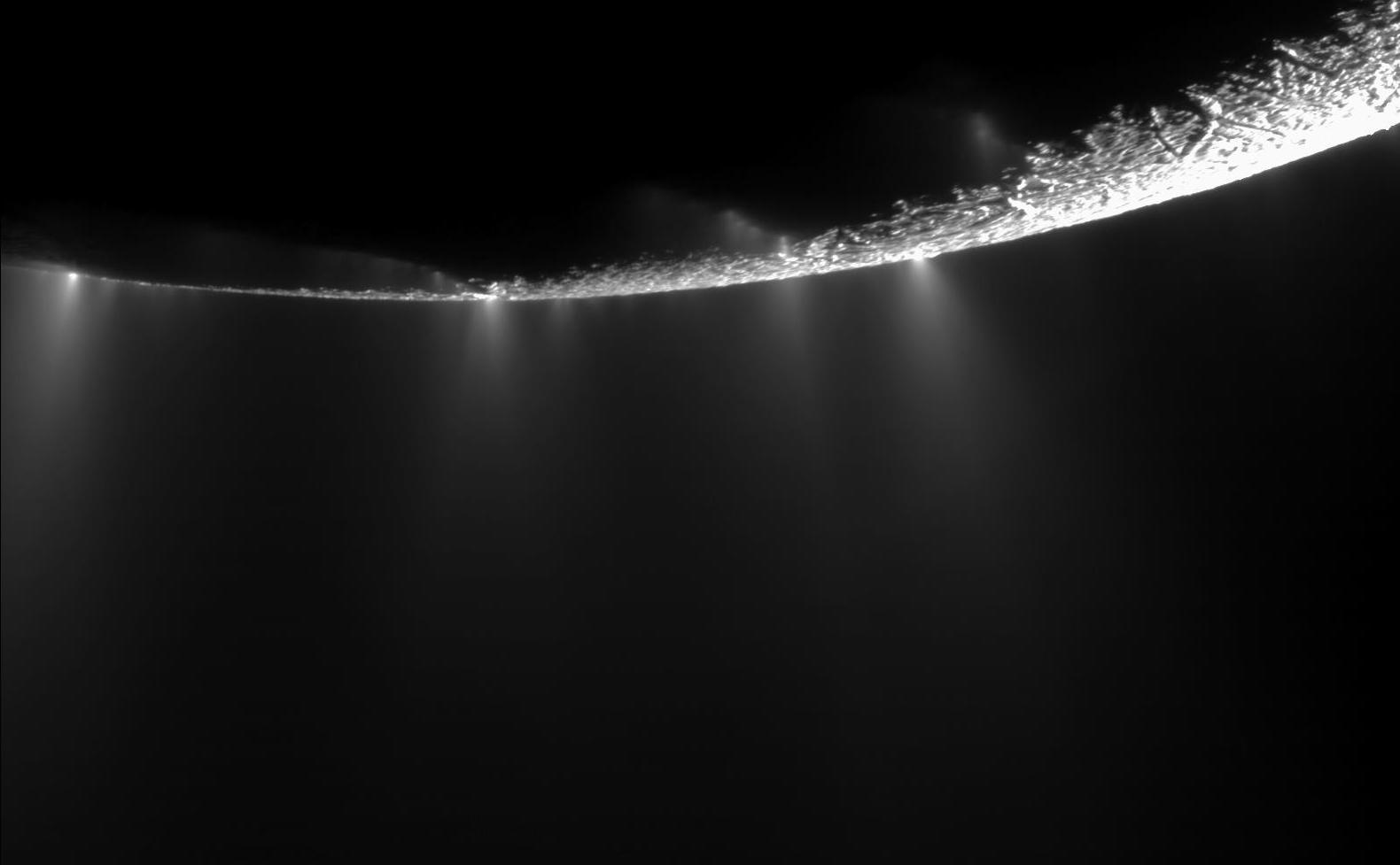 The Case for Life on Enceladus